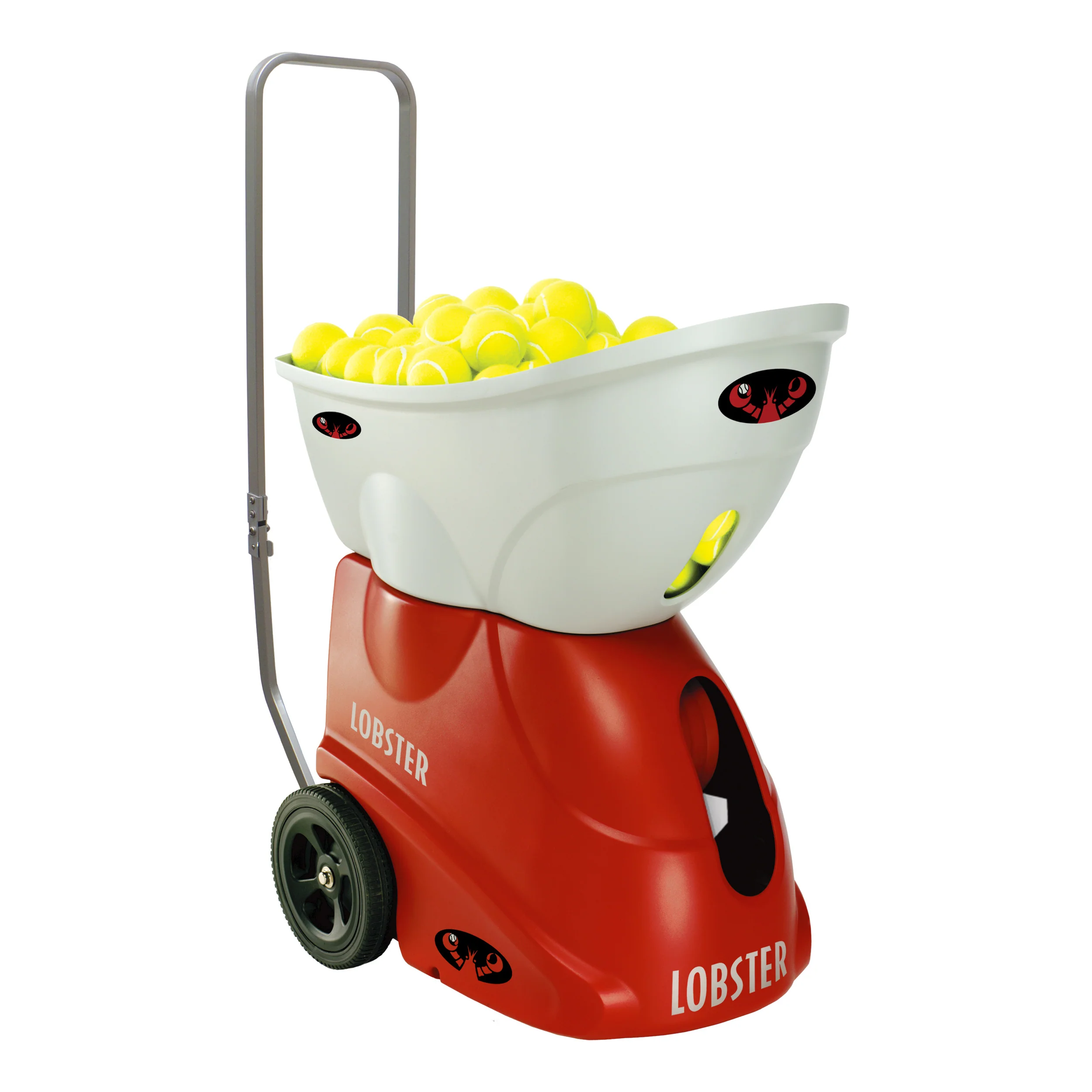Miniatura 1